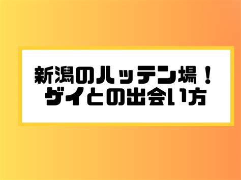 新潟県のハッテン場情報｜ゲイビー